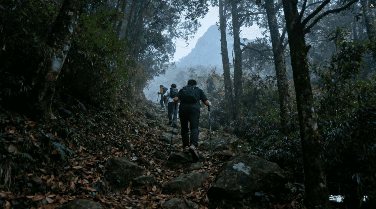 雷霆加速器apk免费下载最新版本